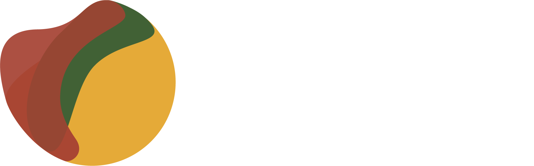 matesica-logo-white